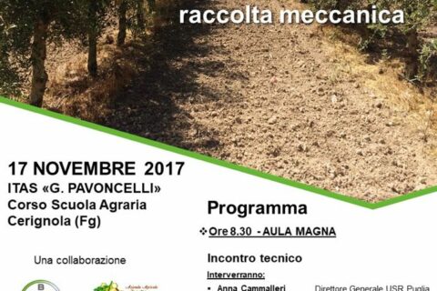 Conferenza sulla coltivazione superintensiva dell’olivo